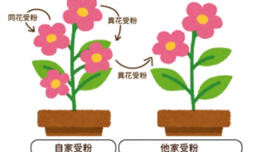 疱疹和水痘的区别-疱疹和水猴子区别网 - 为你提供疱疹和溃疡的区别、疱疹和生殖疱疹的区别