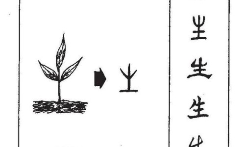 疱疹和湿疹有什么区别-疱疹和水猴子区别网 - 为你提供疱疹和溃疡的区别、疱疹和生殖疱疹的区别